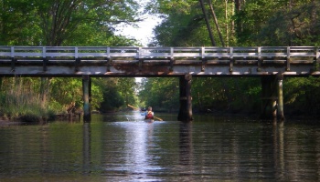 Free Fundraiser Photo for "Protect The Harlowe Canal"