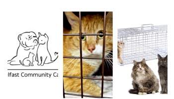 Free Fundraiser Photo for "Belfast Community Cats"